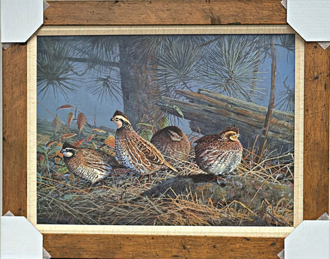 Scott Zoellick Flat Creek Covey Quail Art Print-Framed 26.5 x 20.75