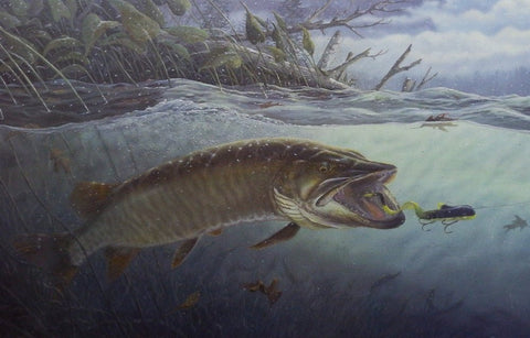 Terry Doughty On The Edge - 25"x16" Open Edition Fishing Art Print