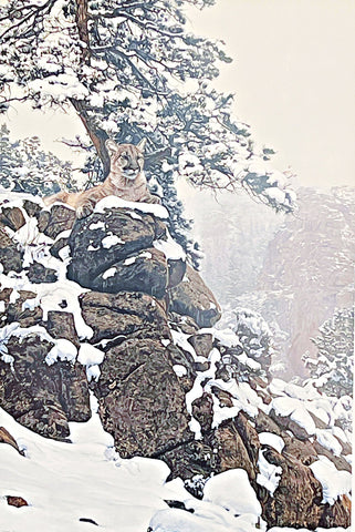 Terry Isaac Snow Spirit-Cougar S/N Art Print (22x33.5)