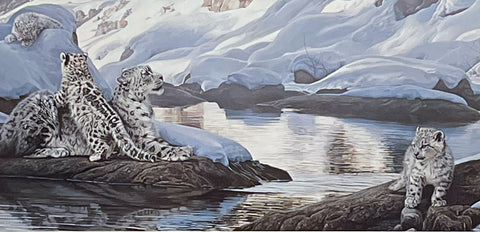 Terry Isaac Watchful Eyes Snow Leopard S/N Art Print 32 x 15.5