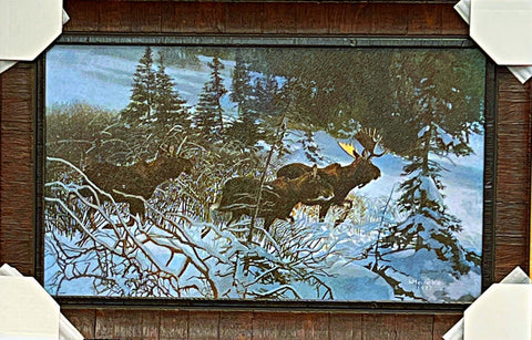 Walter MeineKe Winters White snow Moose Art Print-Framed 28.75 x 18.75