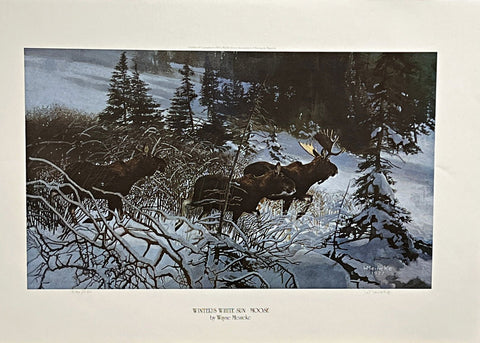 Wayne Meineke Winters White Sun Moose S/N Art Print 24 x 14