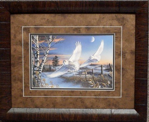 WildlifePrints James Meger Crescendo Owl Print-Framed 21 x 17