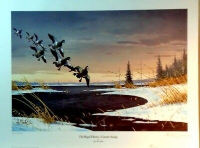 Les Kouba A/P THe Regal Divers-Greater Scaup Art Print 23 x 15