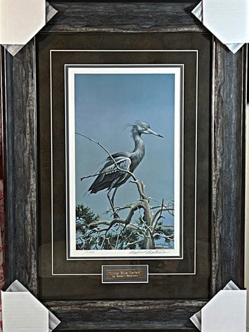 Robert Bateman Little Blue Heron Art Print-Framed 19 x 26