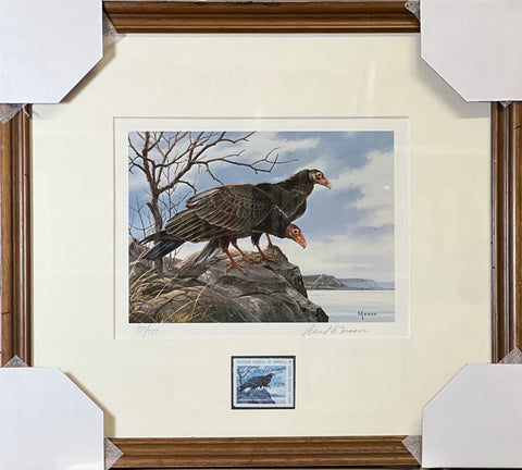 Davud Maass 1980 Buzzard Council of American Stamp print Framed 17.5 x 16