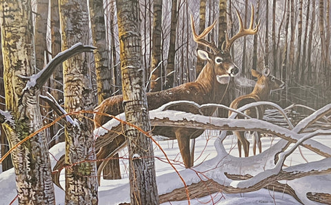 Chris Kuehn Northwoods Legend Deer Buck Art Print 21.5 x 13.5