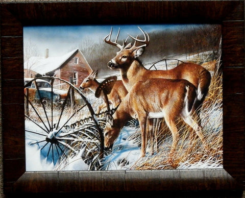 Kevin Daniel Snow Drifters Deer Buck Print-Framed 19 x 15