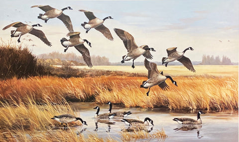 Maynard Reece S/N Canadian Geese Art Print The Quiet Place with Cert (31.25"x19.25")