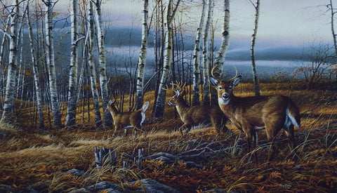 Terry Redlin Birch Line - 24" x 14" Open Edition