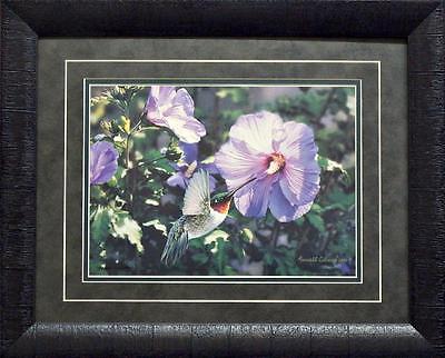 Russell Cobane Hummin Along Hummingbird Print-Framed- 21 x 17