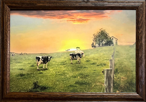 Lori Deiter Morning Moos Cow Farm Pasture Print 20.5 x 14.5