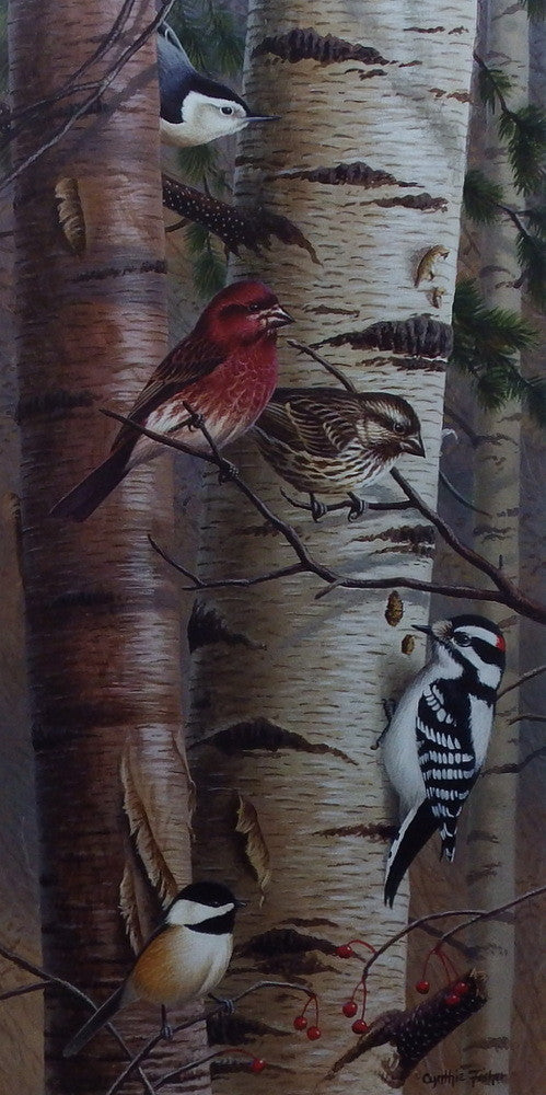 Cynthie Fisher Bird Cardinal Picture UNANNOUNCED VISITORS I