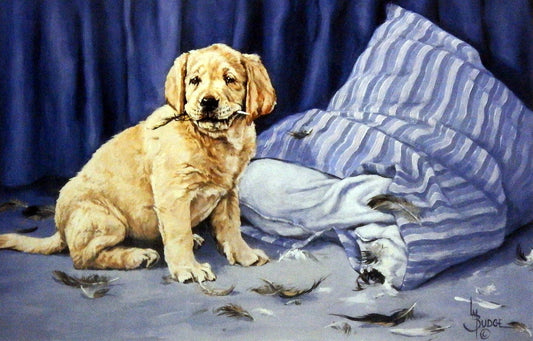 Linda Budge Golden Mischief