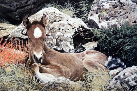 Ray Whitson Colt