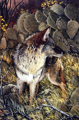Ray Whitson Coyote