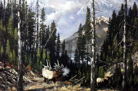 Ray Whitson Elk