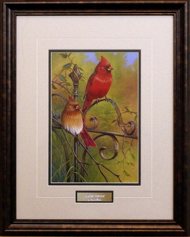 Cynthie Fisher Framed Cardinal Songbird Picture GARDEN VISITORS