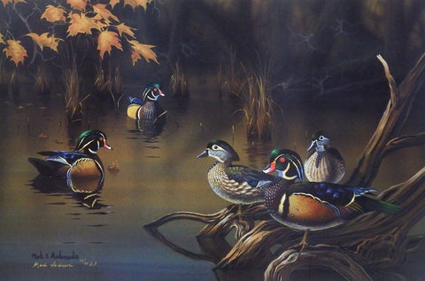 Mark Anderson Wapsi Woodducks
