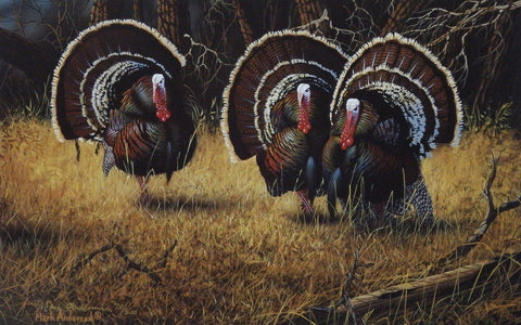 Mark Anderson Merriams-NOT CURRENTLY AVAILABLE PLEASE CHECK WITH US