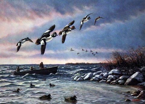 James Meger Risky Business-Goldeneyes