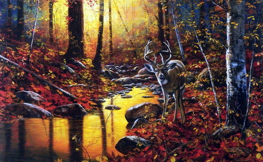 Jim Hansel Close Encounter