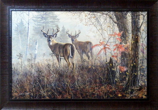 Jim Hansel Double Vision-Framed