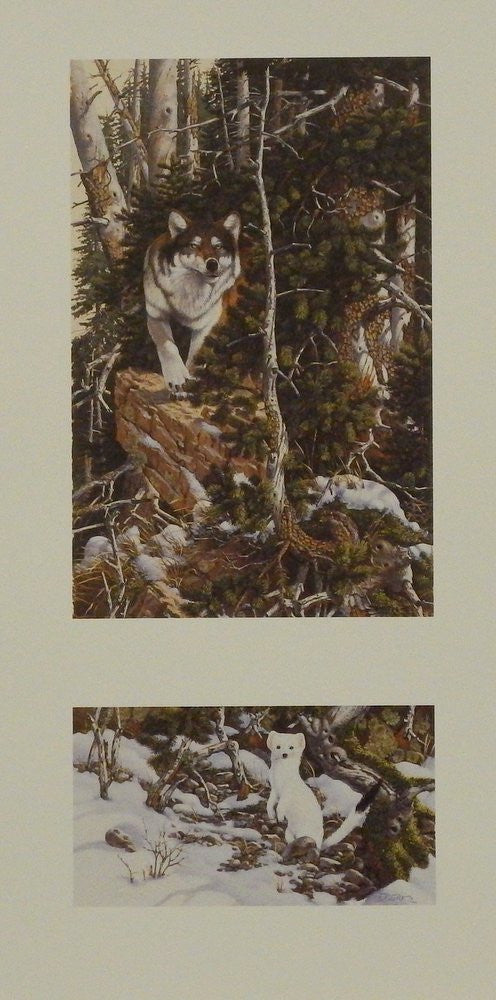 Derk Hansen Eyes of the Wild 2