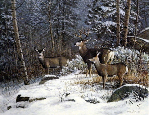 Scott Zoellick Meeker Mountain Mulies Deer Print SN 21.5" x 17"