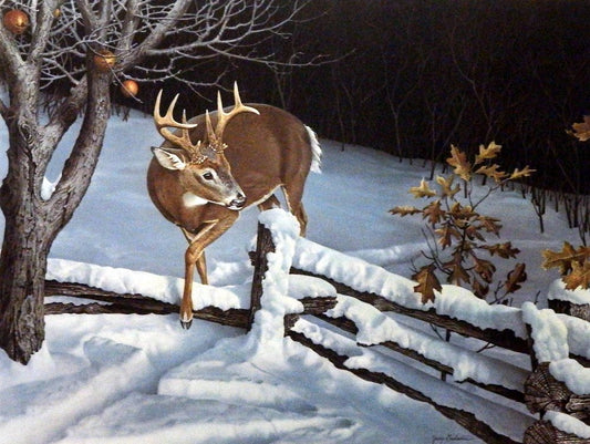 Jerry Gadamus December Twilight