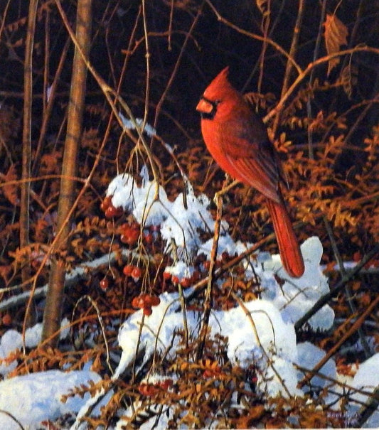 Scott Zoellick Evening Glow