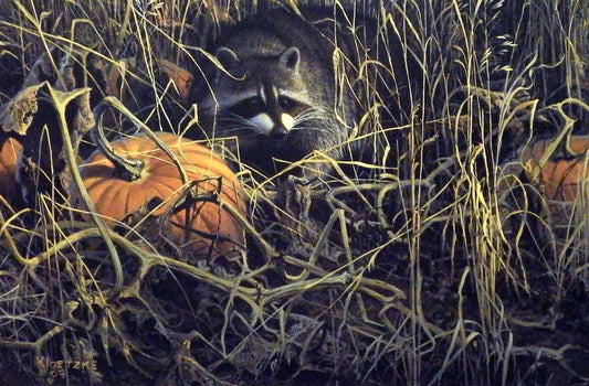Don Kloetzke The Witching Hour
