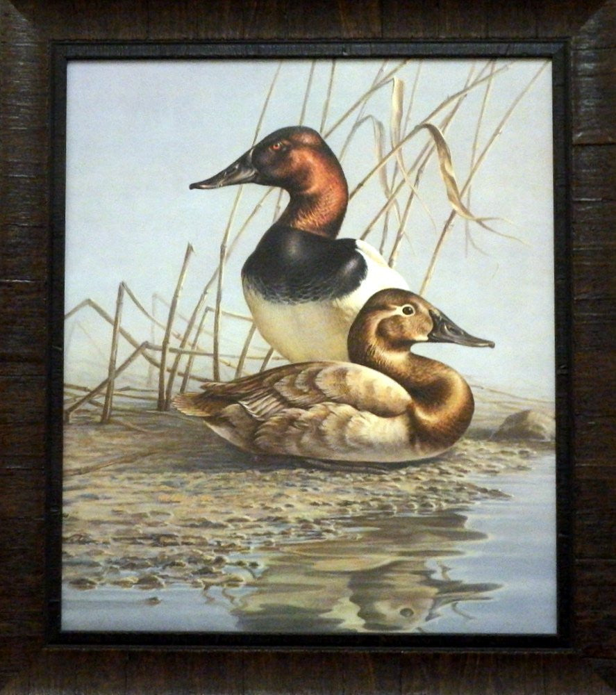 James Meger Canvasbacks-Framed