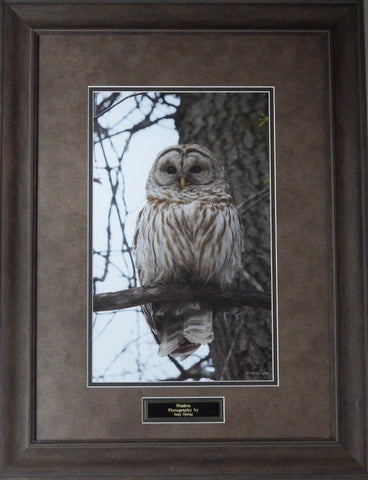 Judy Syring Wisdom Owl Photography-Framed
