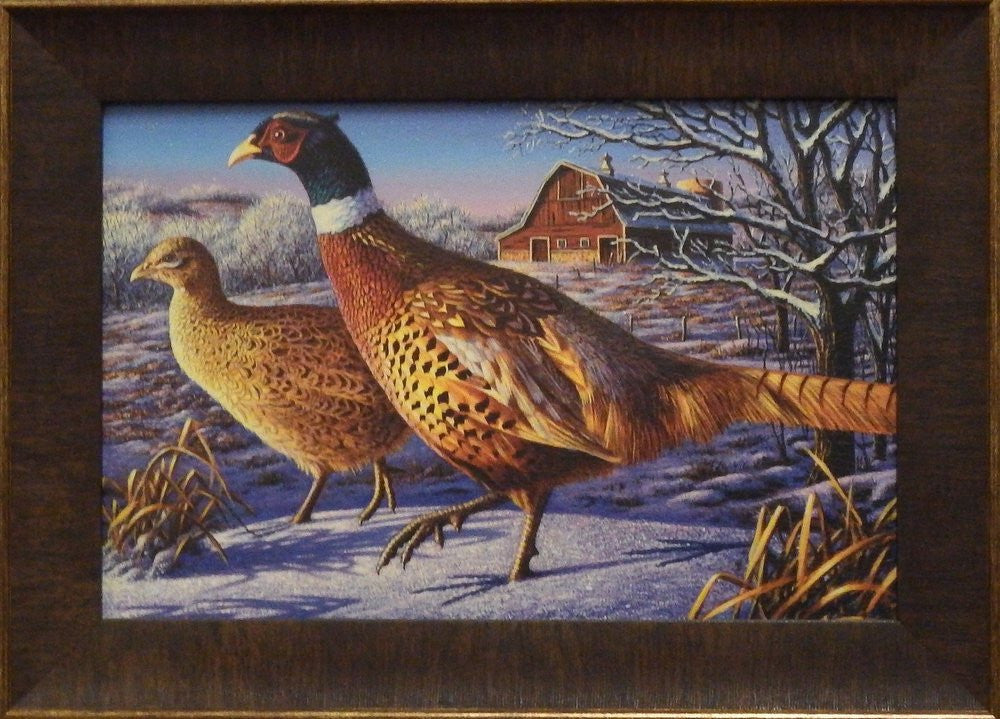 Kim Norlien Frosty Morning Ringnecks-Framed