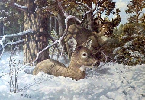Brian LaCroix Afternoon Refuge