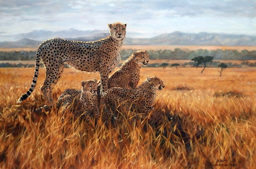 Julia Rogers A Vantage Point