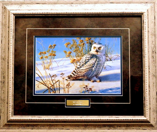 Cynthie Fisher Snowy Owls-Framed