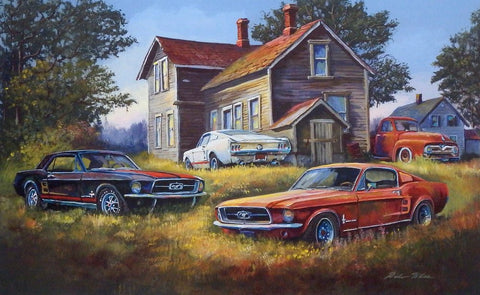 Dale Klee BackYard Mustangs