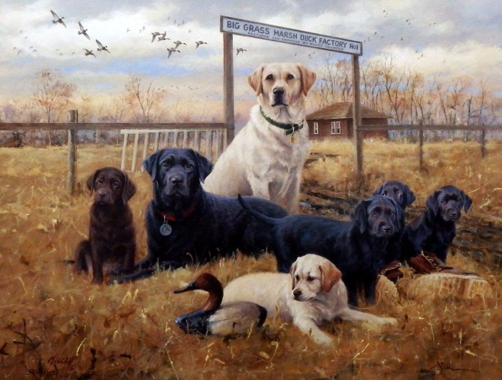 James Killen Great Beginnings Lab Print