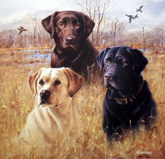 Jim Killen Marsh Masters