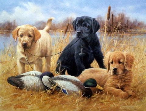 James Killen Faithful Friends-Puppies