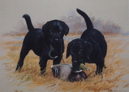 Jim Killen Double Trouble II