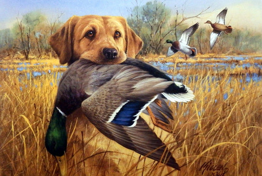 James Killen Great Retrievers-Yellow Labrador-Mallards