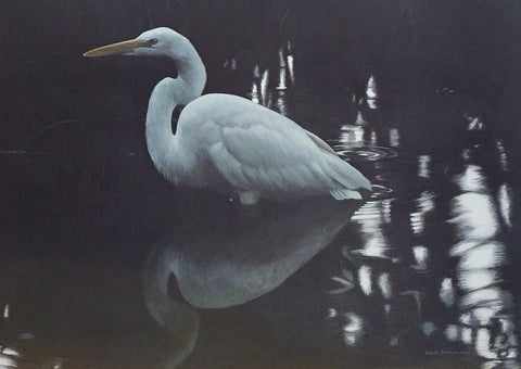 Robert Bateman Mangrove Shadow-Common Egret