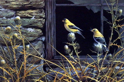 Don Moore Autumn Aristocrats Birds