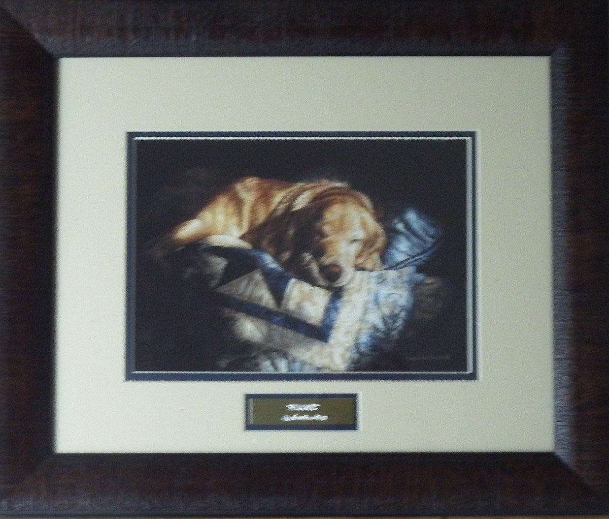 Sueellen Ross Snooze-Framed