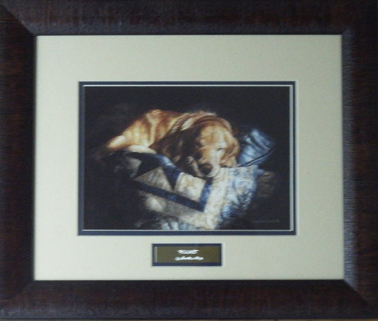 Sueellen Ross Snooze-Framed