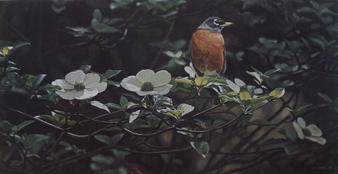 Terry Isaac Backyard Robin