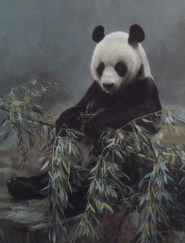 Terry Isaac Hsing Hsing Bright Star Panda Bear